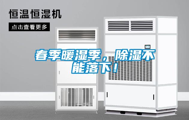 春季暖濕季，除濕不能落下！