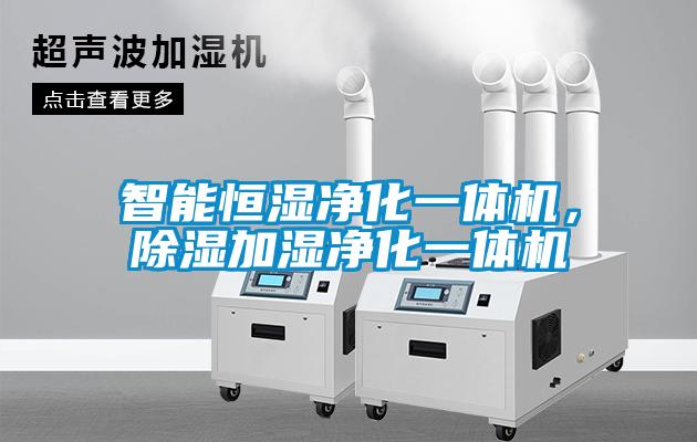 智能家用除濕機(jī)，低噪靜音家用智能除濕干衣機(jī)
