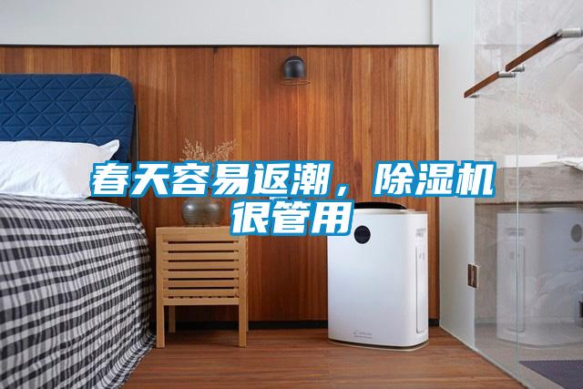 春天容易返潮，除濕機很管用