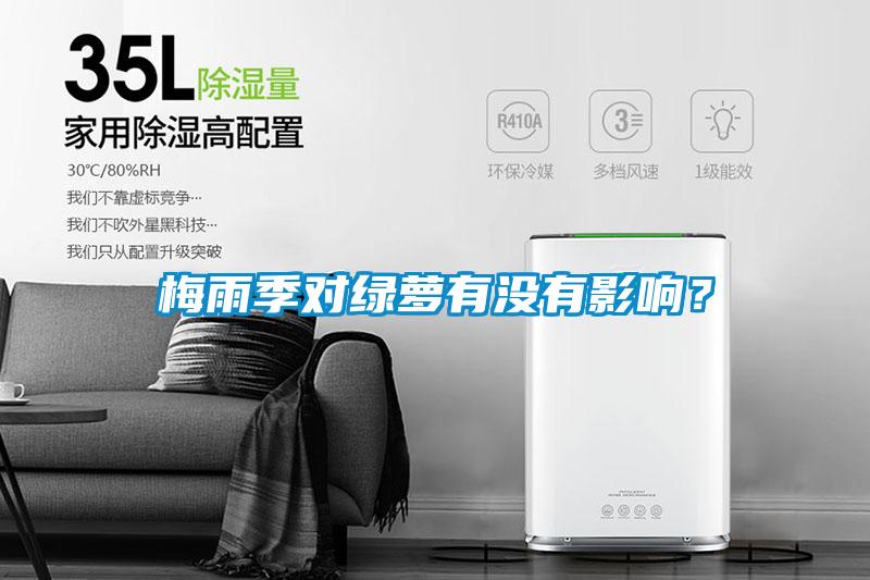 梅雨季對(duì)綠蘿有沒有影響？