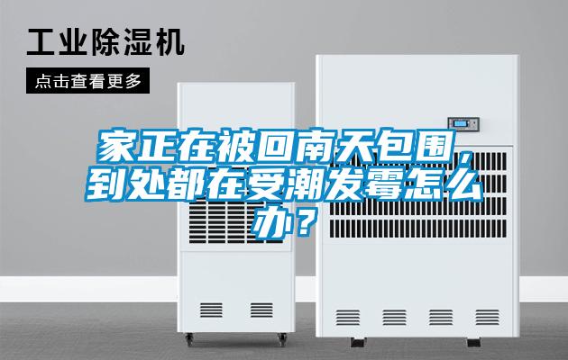 家正在被回南天包圍，到處都在受潮發(fā)霉怎么辦？
