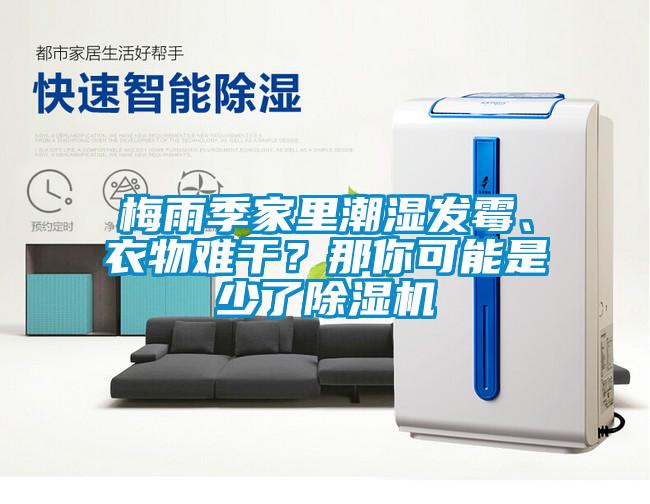 梅雨季家里潮濕發(fā)霉、衣物難干？那你可能是少了除濕機(jī)