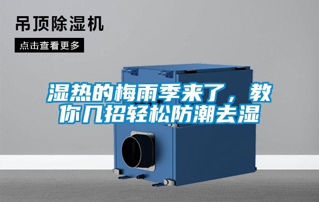 濕熱的梅雨季來了，教你幾招輕松防潮去濕