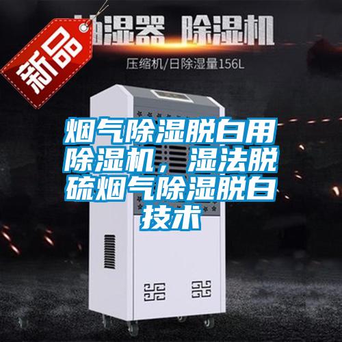 煙氣除濕脫白用除濕機，濕法脫硫煙氣除濕脫白技術(shù)