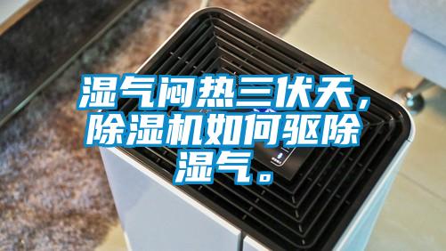 濕氣悶熱三伏天，除濕機如何驅除濕氣。