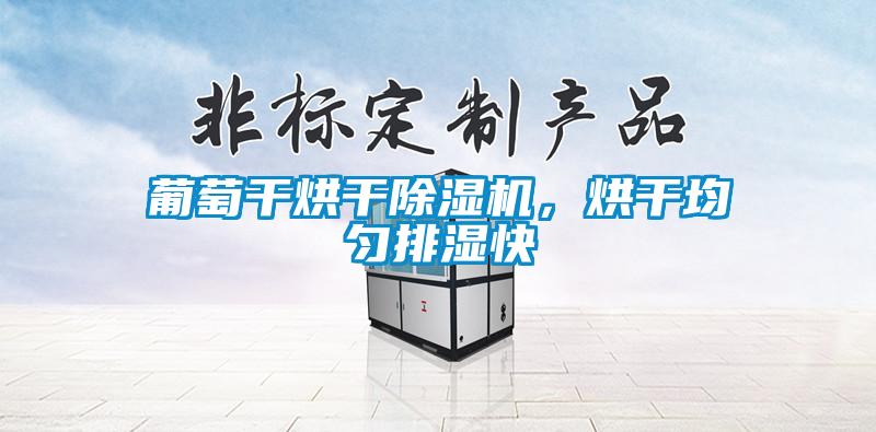 葡萄干烘干除濕機(jī)，烘干均勻排濕快