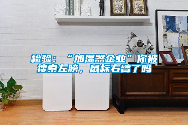 檢驗(yàn)：“加濕器企業(yè)”你被搜索左膀，鼠標(biāo)右臂了嗎