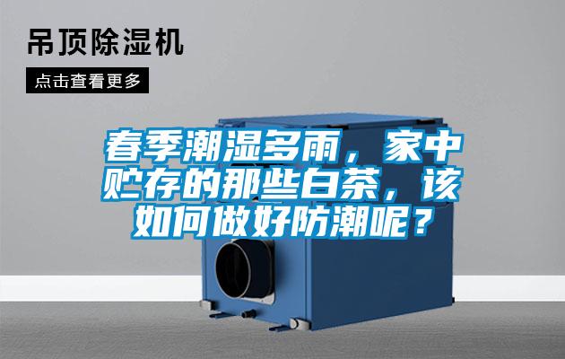 春季潮濕多雨，家中貯存的那些白茶，該如何做好防潮呢？