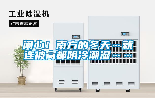 鬧心！南方的冬天…就連被窩都陰冷潮濕……