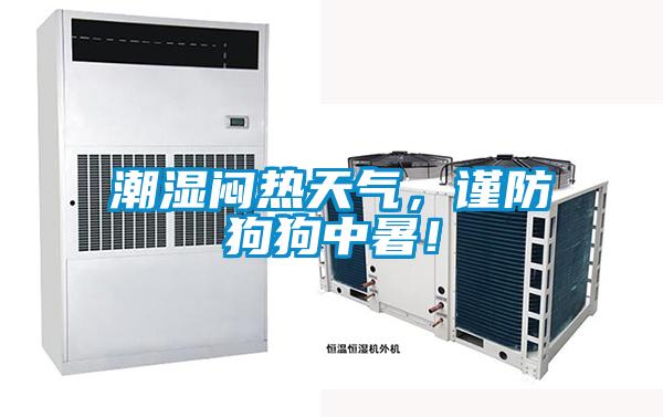 潮濕悶熱天氣，謹(jǐn)防狗狗中暑！