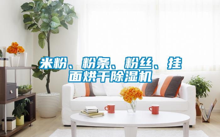 米粉、粉條、粉絲、掛面烘干除濕機