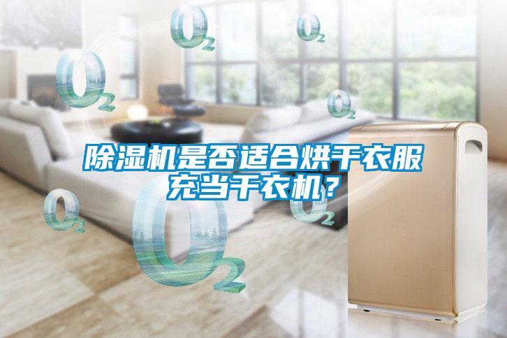除濕機(jī)是否適合烘干衣服充當(dāng)干衣機(jī)？