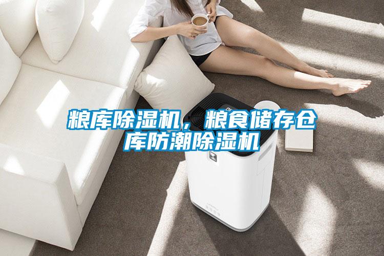 糧庫(kù)除濕機(jī)，糧食儲(chǔ)存?zhèn)}庫(kù)防潮除濕機(jī)