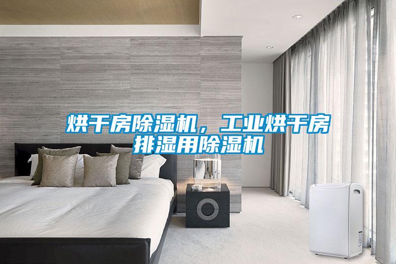 烘干房除濕機(jī)，工業(yè)烘干房排濕用除濕機(jī)