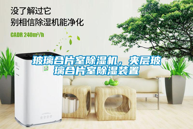 玻璃合片室除濕機，夾層玻璃合片室除濕裝置