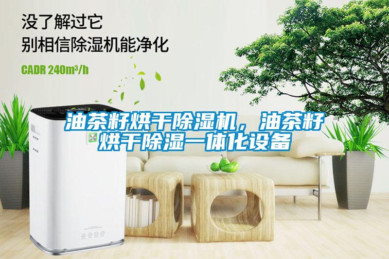 油茶籽烘干除濕機，油茶籽烘干除濕一體化設備