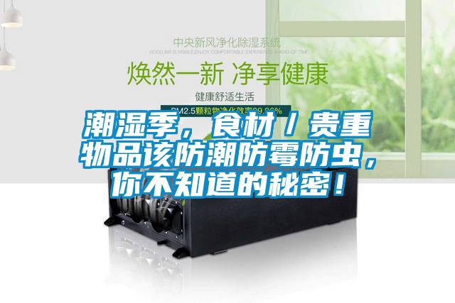 潮濕季，食材／貴重物品該防潮防霉防蟲，你不知道的秘密！