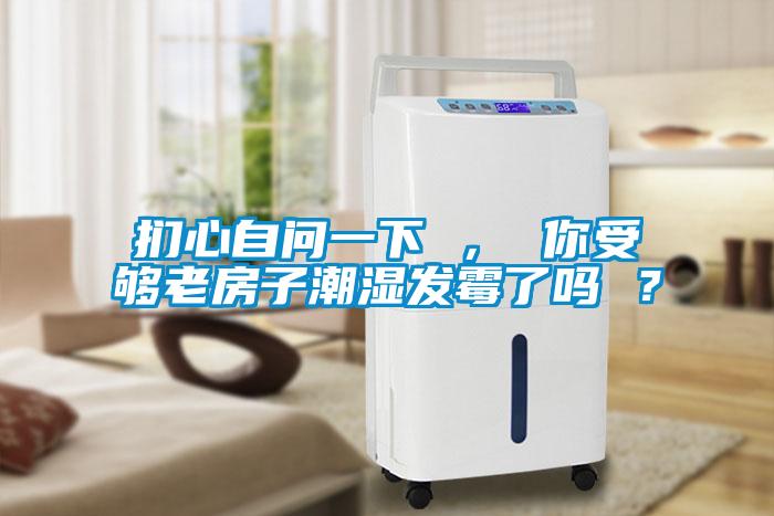 捫心自問一下 ， 你受夠老房子潮濕發(fā)霉了嗎 ？