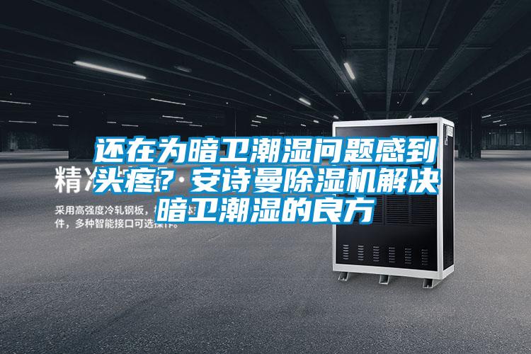 還在為暗衛(wèi)潮濕問題感到頭疼？安詩曼除濕機解決暗衛(wèi)潮濕的良方