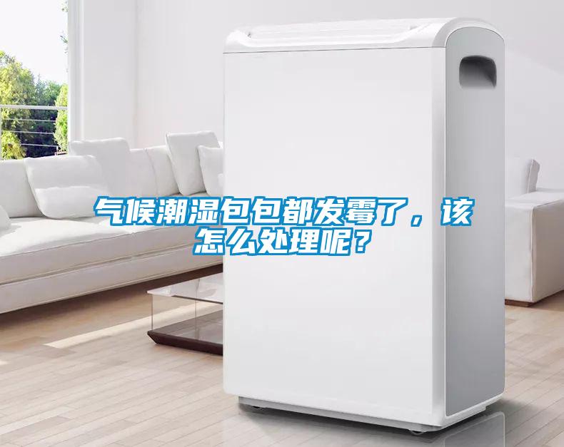 氣候潮濕包包都發(fā)霉了，該怎么處理呢？