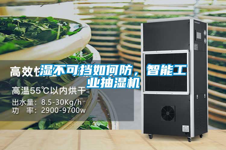 濕不可擋如何防，智能工業(yè)抽濕機