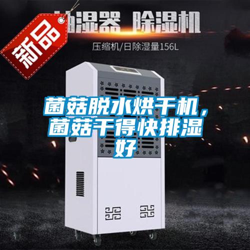 菌菇脫水烘干機，菌菇干得快排濕好