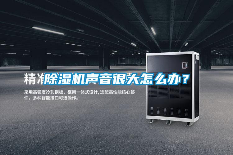 除濕機聲音很大怎么辦？