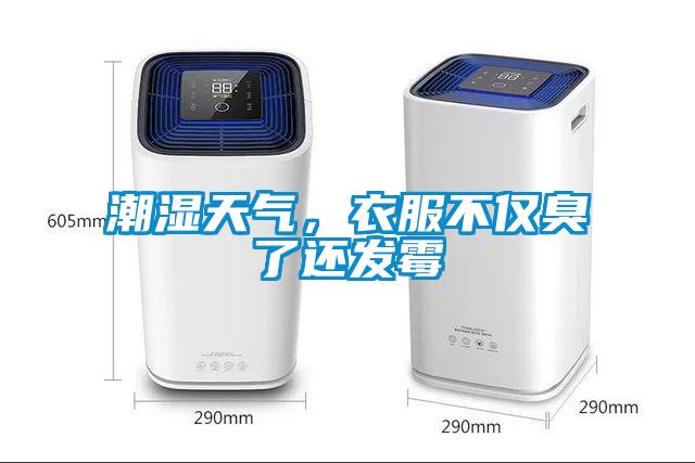 潮濕天氣，衣服不僅臭了還發(fā)霉