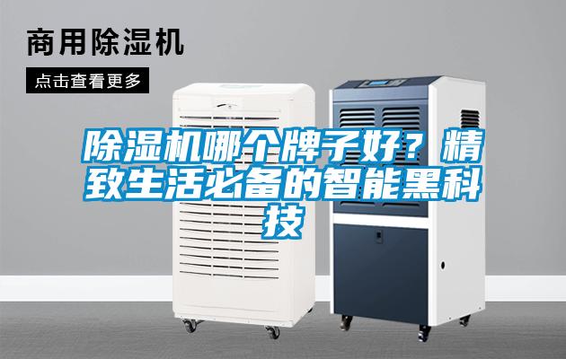 除濕機(jī)哪個(gè)牌子好？精致生活必備的智能黑科技