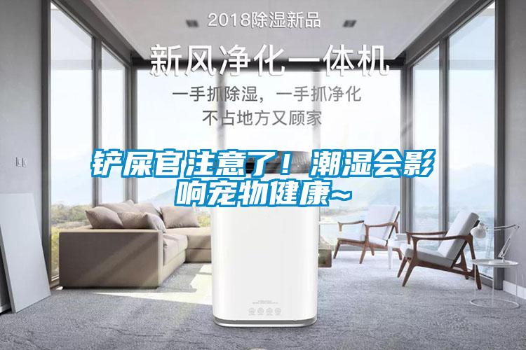 鏟屎官注意了！潮濕會(huì)影響寵物健康~