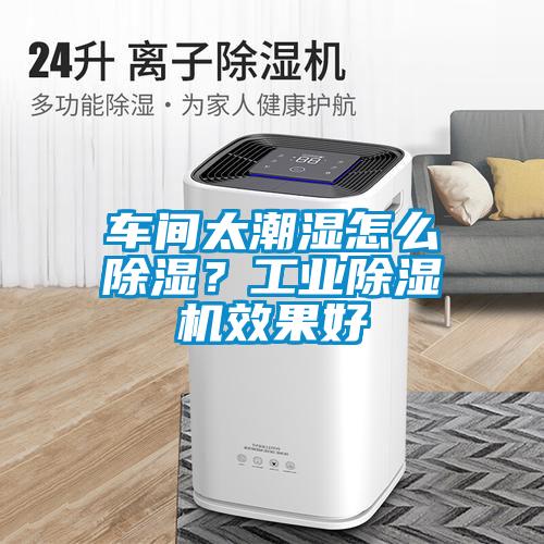 車間太潮濕怎么除濕？工業(yè)除濕機效果好