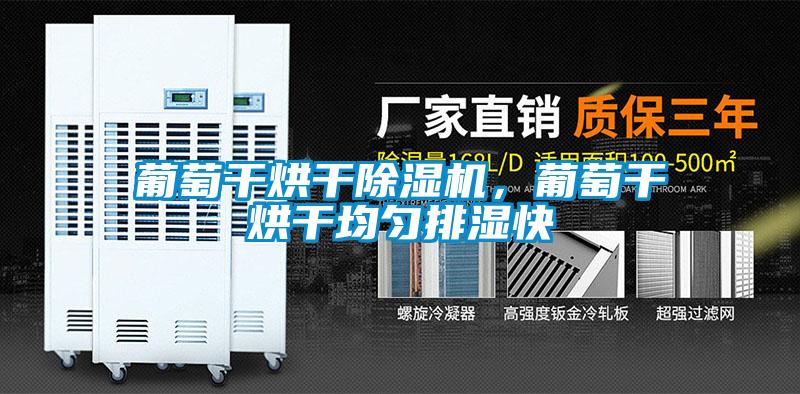 葡萄干烘干除濕機，葡萄干烘干均勻排濕快
