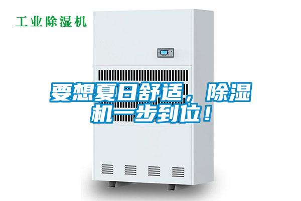 要想夏日舒適，除濕機一步到位！