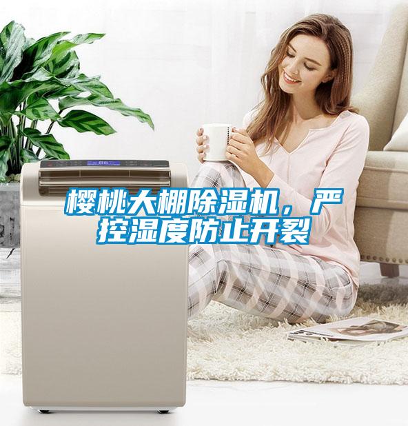 櫻桃大棚除濕機，嚴控濕度防止開裂