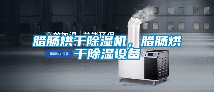 臘腸烘干除濕機(jī)，臘腸烘干除濕設(shè)備
