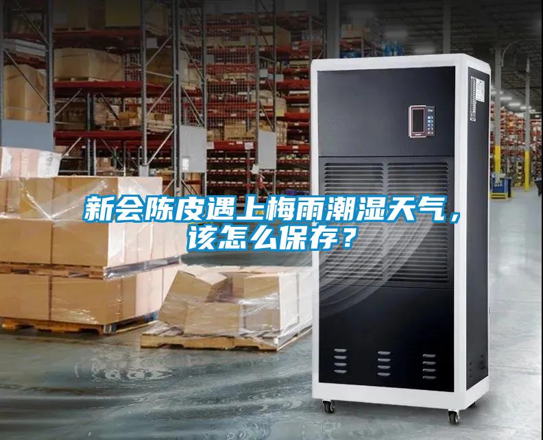 新會(huì)陳皮遇上梅雨潮濕天氣，該怎么保存？