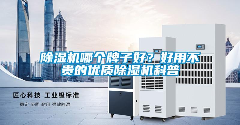 除濕機哪個牌子好？好用不貴的優(yōu)質除濕機科普