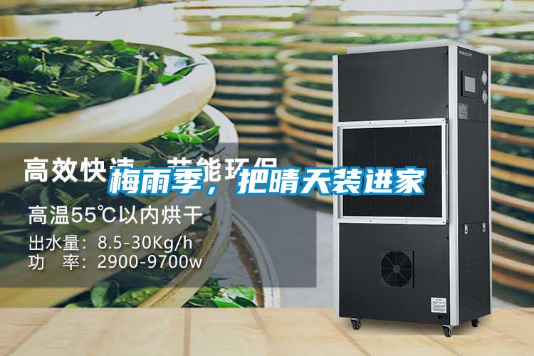梅雨季，把晴天裝進家