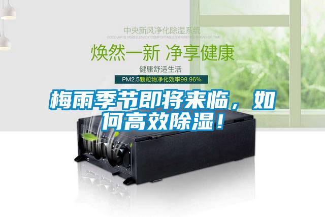 梅雨季節(jié)即將來臨，如何高效除濕！