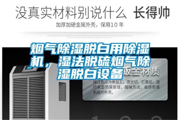 煙氣除濕脫白用除濕機，濕法脫硫煙氣除濕脫白設(shè)備