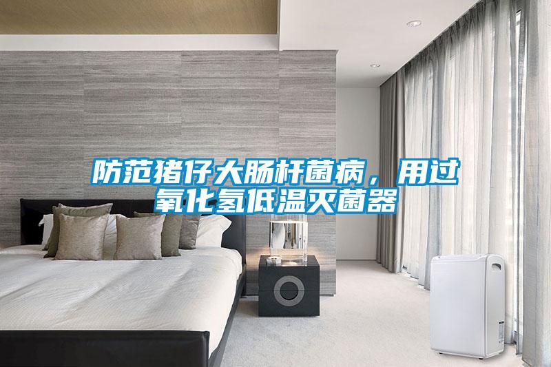 防范豬仔大腸桿菌病，用過(guò)氧化氫低溫滅菌器
