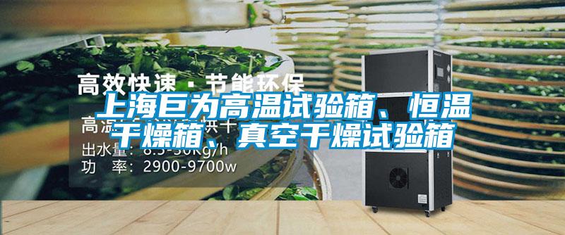上海巨為高溫試驗(yàn)箱、恒溫干燥箱、真空干燥試驗(yàn)箱