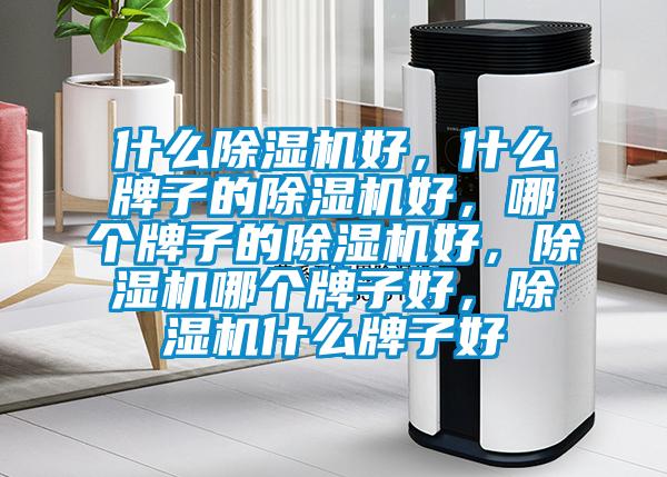 什么除濕機(jī)好，什么牌子的除濕機(jī)好，哪個牌子的除濕機(jī)好，除濕機(jī)哪個牌子好，除濕機(jī)什么牌子好