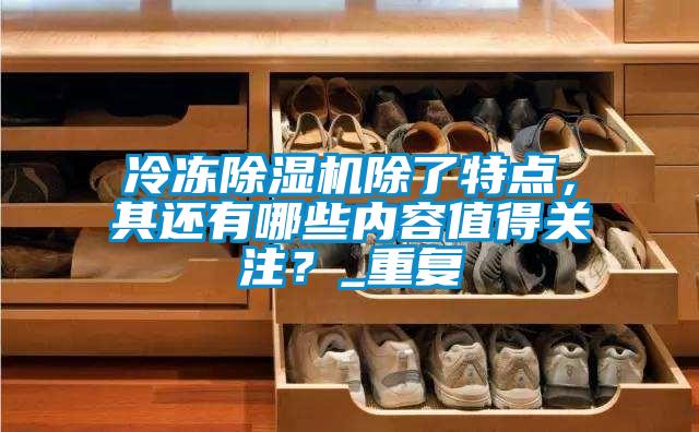 冷凍除濕機除了特點，其還有哪些內容值得關注？_重復