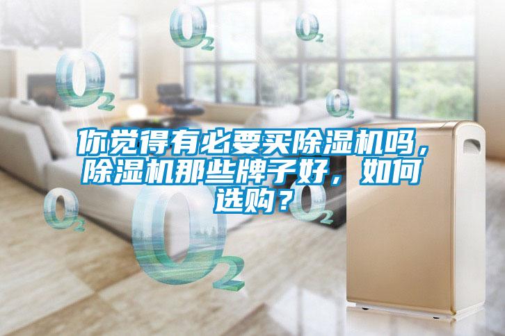 你覺得有必要買除濕機(jī)嗎，除濕機(jī)那些牌子好，如何選購？