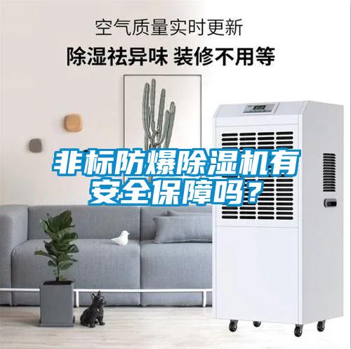 非標(biāo)防爆除濕機有安全保障嗎？