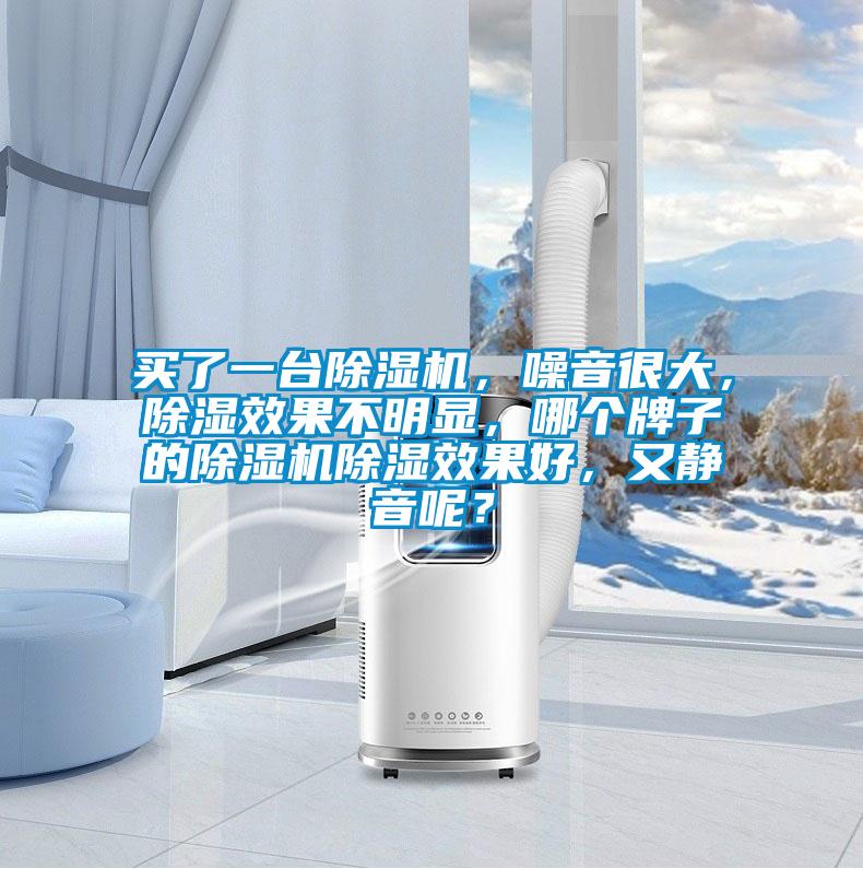 買(mǎi)了一臺(tái)除濕機(jī)，噪音很大，除濕效果不明顯，哪個(gè)牌子的除濕機(jī)除濕效果好，又靜音呢？