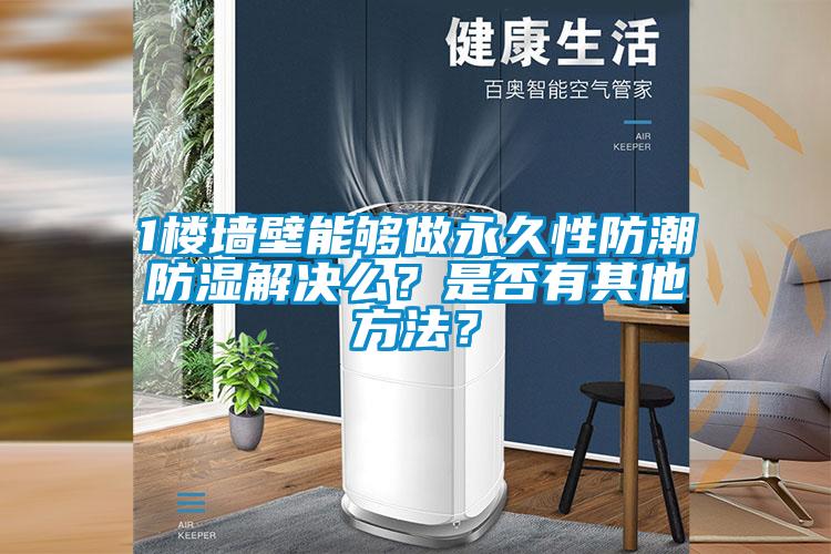 1樓墻壁能夠做永久性防潮防濕解決么？是否有其他方法？