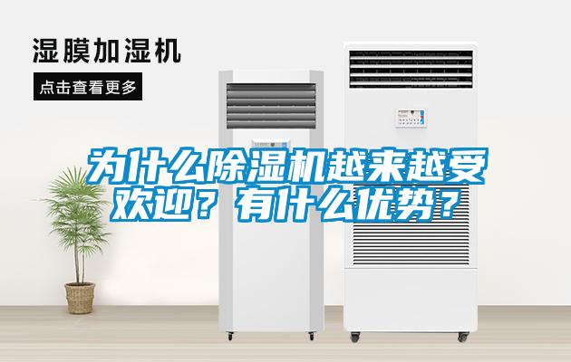 為什么除濕機(jī)越來越受歡迎？有什么優(yōu)勢？