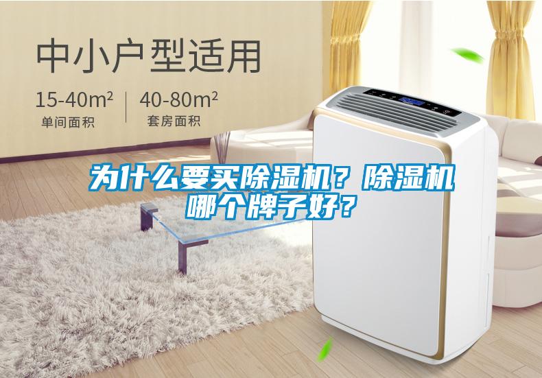 為什么要買除濕機？除濕機哪個牌子好？